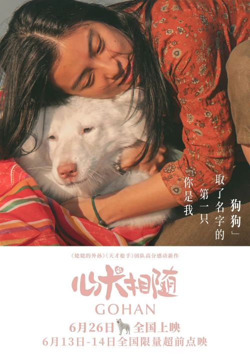 心犬相随