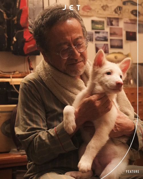 心犬相随