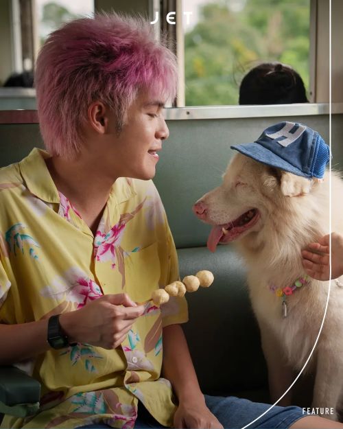 心犬相随