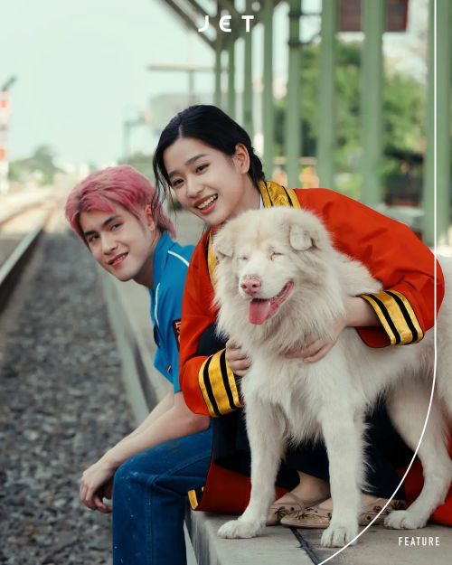 心犬相随