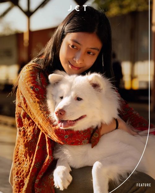 心犬相随