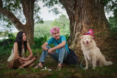 心犬相随