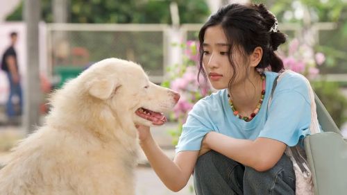 心犬相随