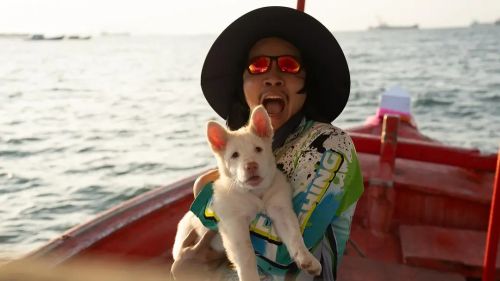 心犬相随