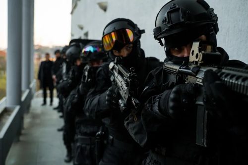公民义警
