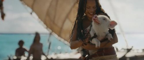 海洋奇缘：启航