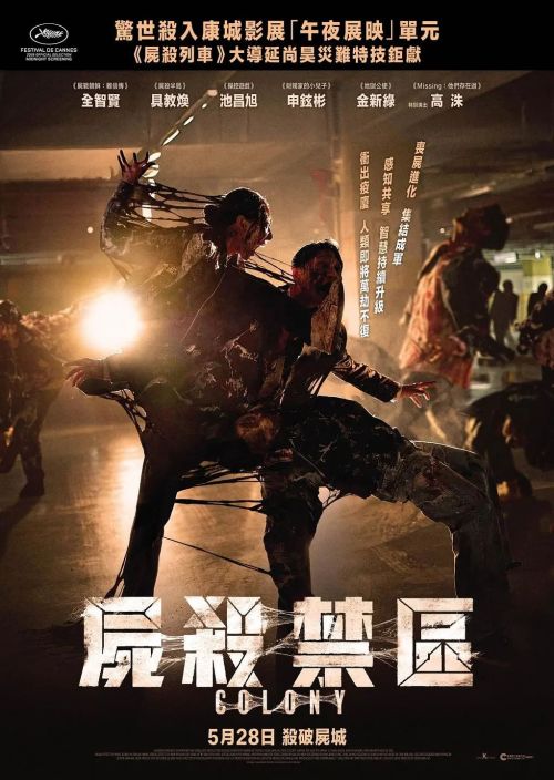 群体