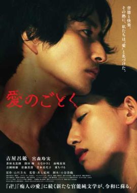 宛如爱情 宛如爱情