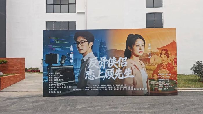 《反骨侠侣，恋上顾先生》今日开机：当IT精英遇上戏精少女，一场颠覆乡村的假结婚闹剧即将上演