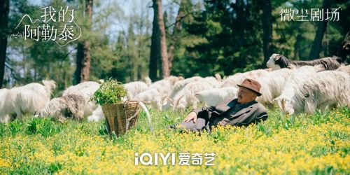 我的阿勒泰