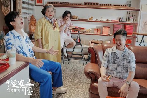 我的婆婆怎么那么可爱2