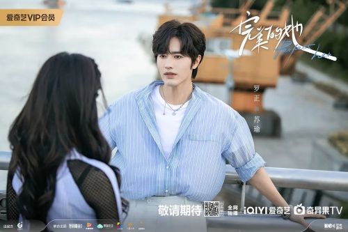完美的她