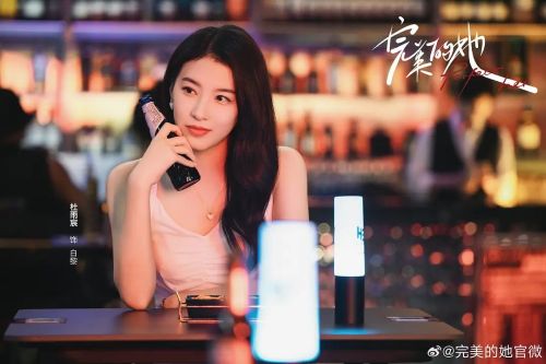 完美的她