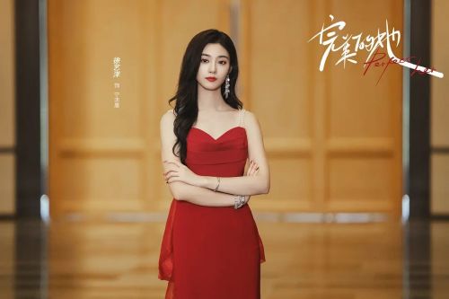 完美的她