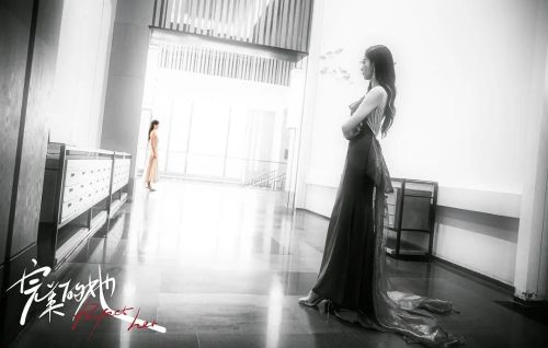 完美的她