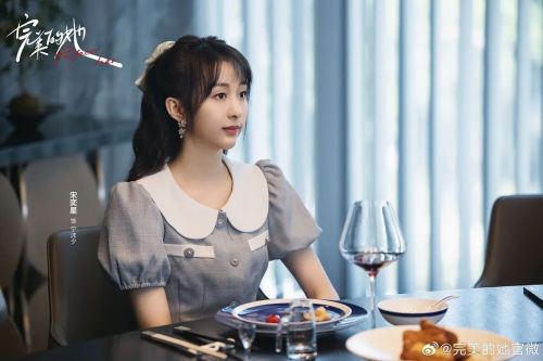 完美的她