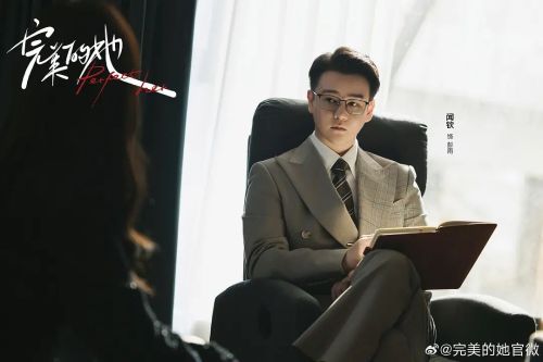 完美的她