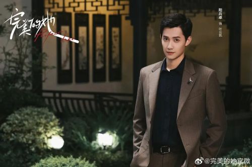 完美的她