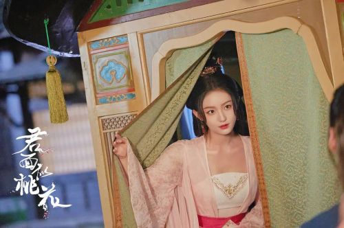 君面似桃花