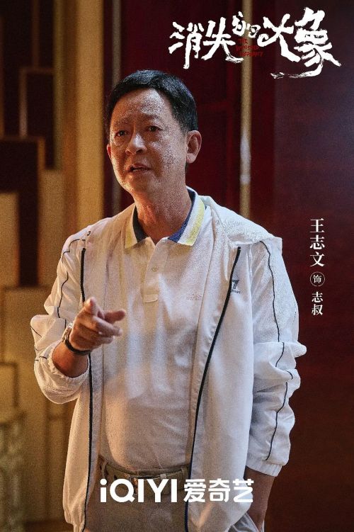 消失的大象