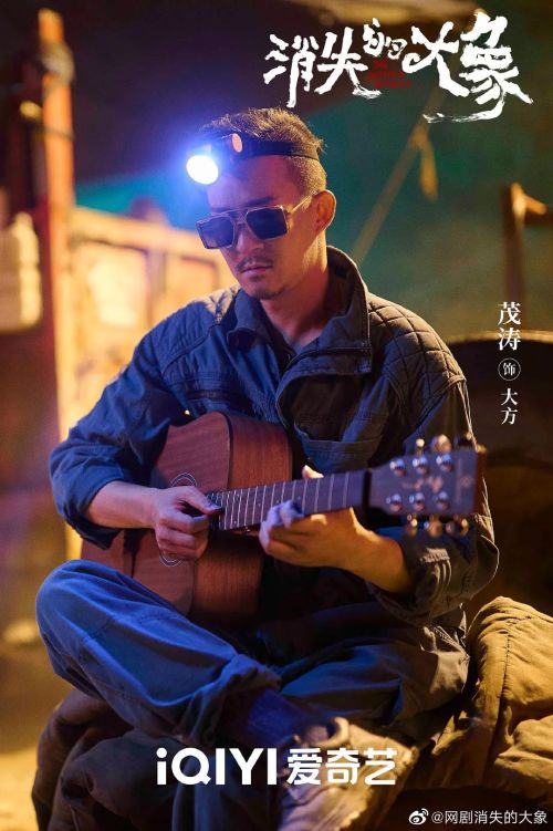 消失的大象