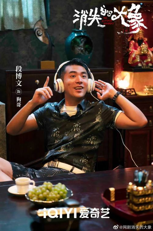 消失的大象