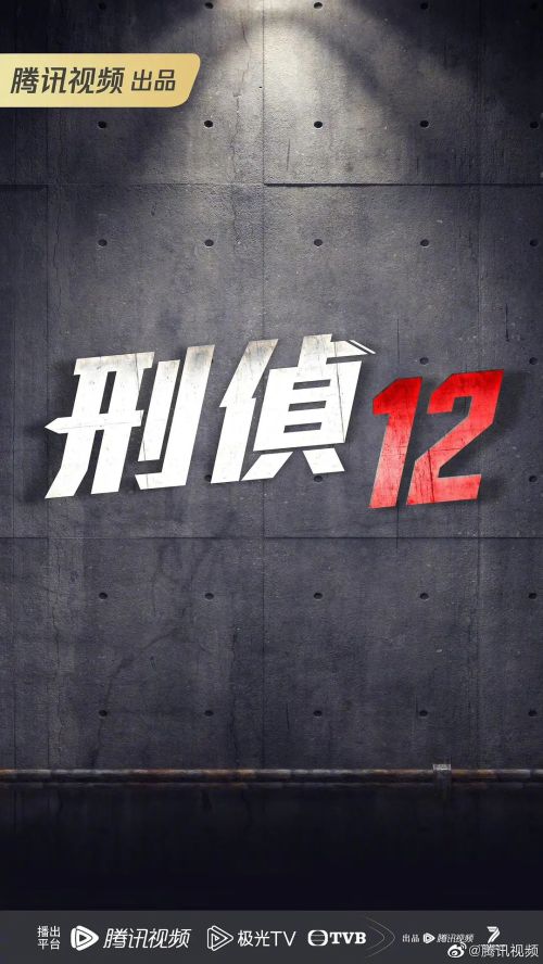 刑侦12