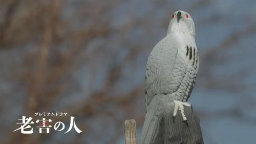 老害之人