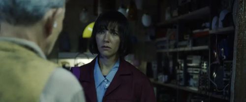 桑尼