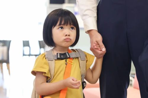 西园寺小姐不做家务