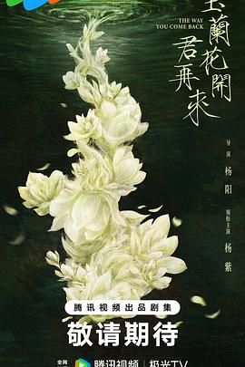 玉兰花开君再来
