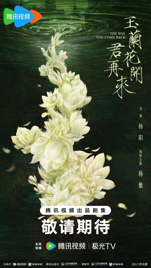玉兰花开君再来