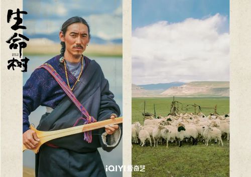 生命树