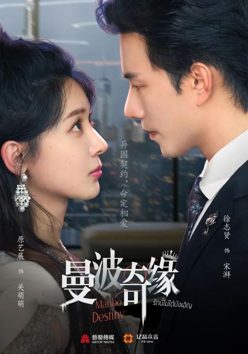 曼波奇缘