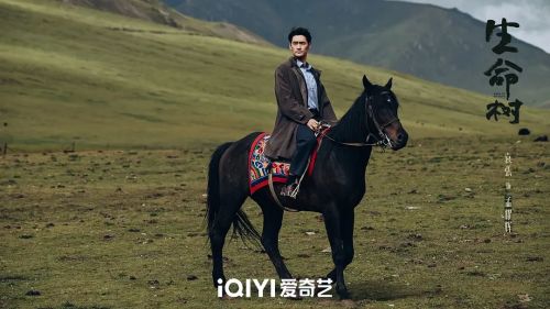 生命树