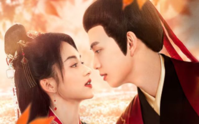 《伴君如伴舞》定档预告