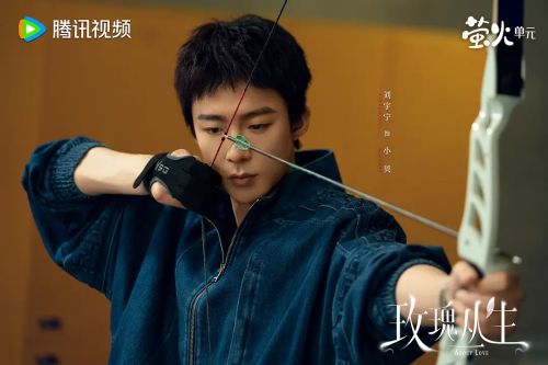 玫瑰丛生