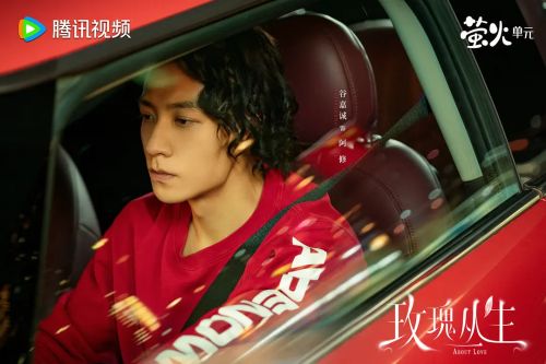 玫瑰丛生