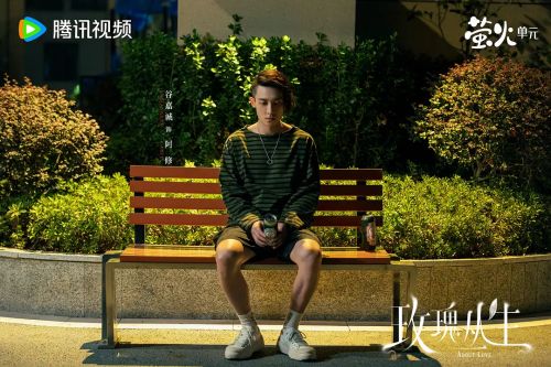 玫瑰丛生