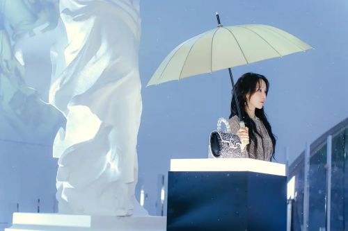 莎拉的真伪人生