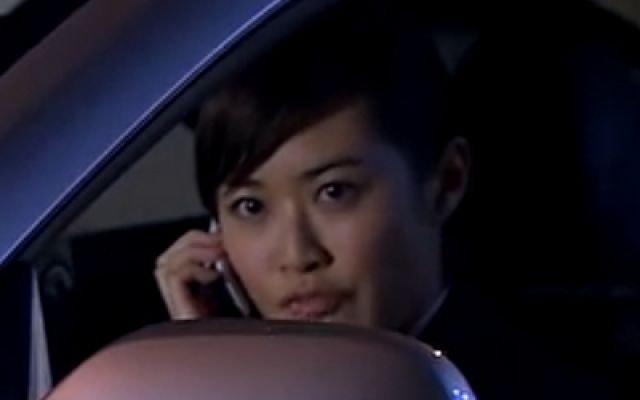 廉政行动2009