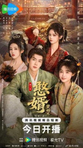 贤婿之憨婿