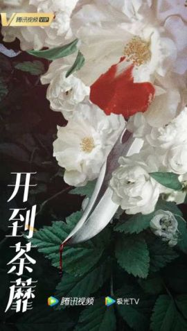 开到荼蘼